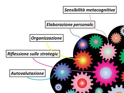 Quali Sono Le Strategie Di Studio Pi Efficaci Antonietta Caputo