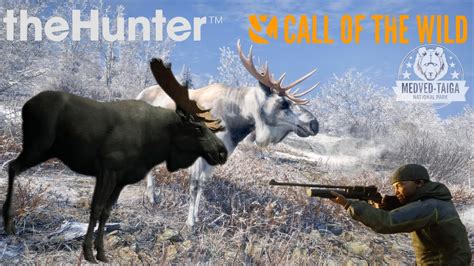 The Hunter Call Of The Wild Medved Taiga Youtube