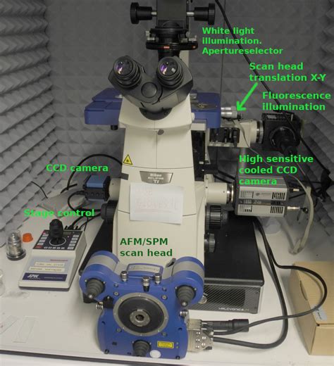 Albanova NanoFabLab AFM JPK Nanowizard Phase Contrast