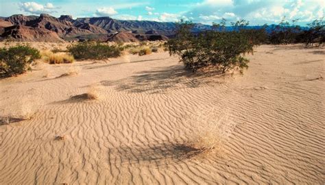 Climate of the Mojave | Sciencing