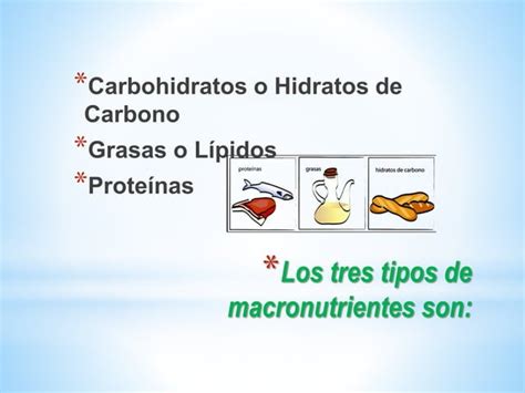 Macro Y Micro Nutrientes Ppt Descarga Gratuita