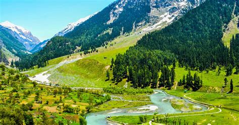 Baisaran Valley An Emerald Of Summer India Chalk