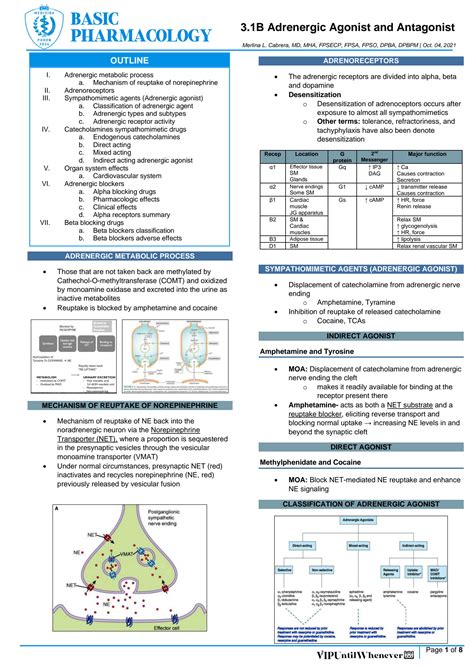 Solution Adrenergic Agonists And Antagonists Studypool