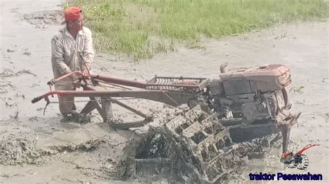 Semangat Mang Joki Traktor Sawah Menyelesaikan Meratakan Lahan Sawah