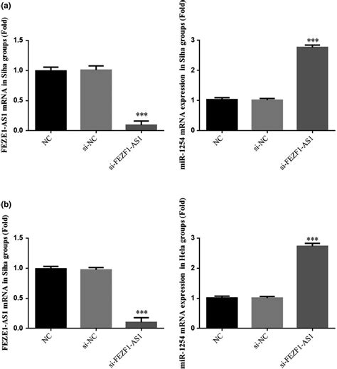 FEZF1AS1 And MiR1254 Gene Expression By RTqPCR Assay A FEZF1AS1