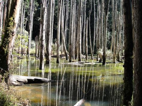 10 Mountains to Climb in Taiwan With the Most Incredible Views