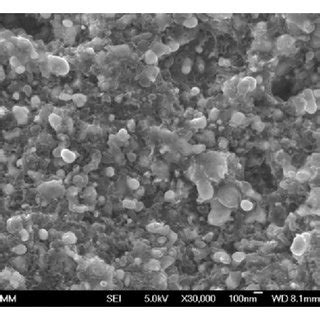 FE SEM Micrographs Of The Co Based Powders Prepared By Chemical