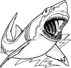 Nurse Shark Coloring Page at GetColorings.com | Free printable ...