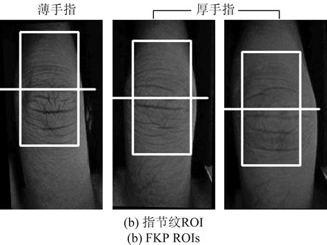 手指双模态特征图像感兴趣区域稳定定位方法研究