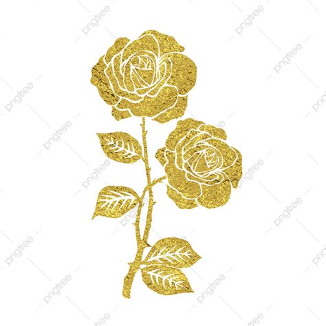 Golden Rose Flower Branch Rose Rose Flower Golden Rose Png