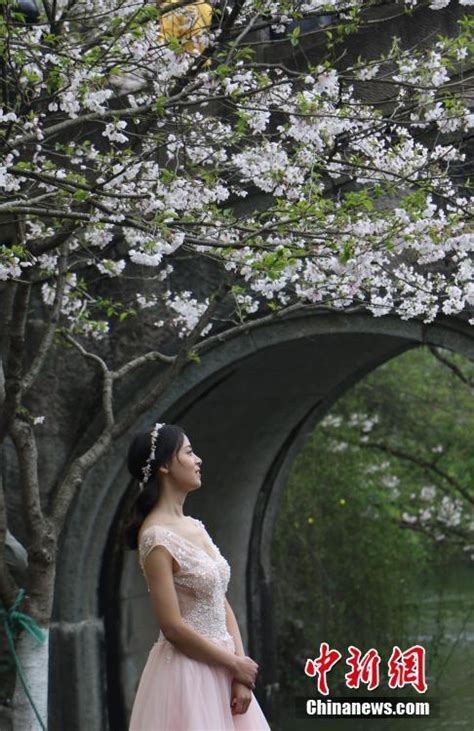 杭州太子灣公園繁花似錦 每日頭條