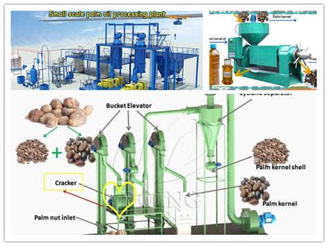 Nigerian Customer Purchased Tph Palm Oil Processing Line And Tph