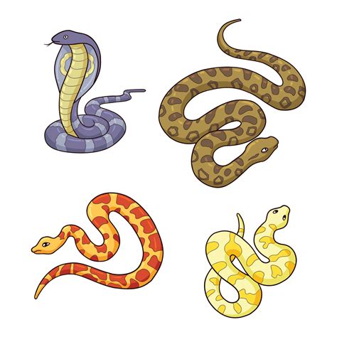 Hand Drawn Snake Collection 2 7949313 Vector Art At Vecteezy