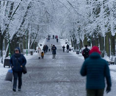 Do kiedy mrozy w Polsce Synoptycy podają datę TEGO dnia widać