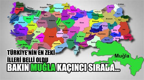 Türkiye nin En Zeki İlleri Belli Oldu Bakın Muğla Kaçıncı Sırada