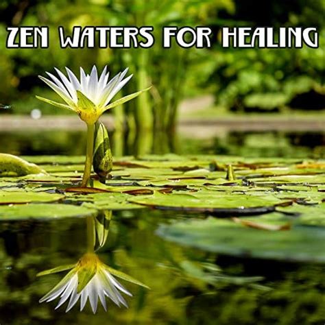 Amazon MusicでCalming Water ConsortのZen Waters for Healing: Nature ...