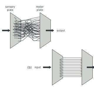 Sphere of Sovereignty | Download Scientific Diagram