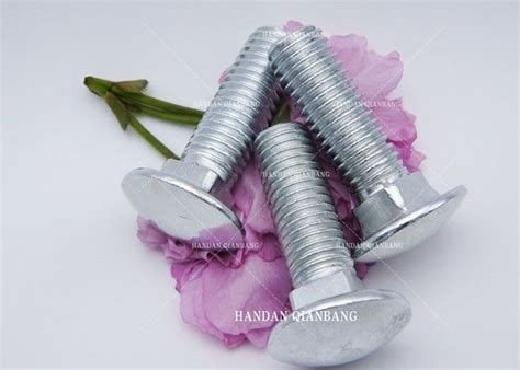 Din Carbon Steel Full Thread Grade Zinc Plated Carriage Bolts