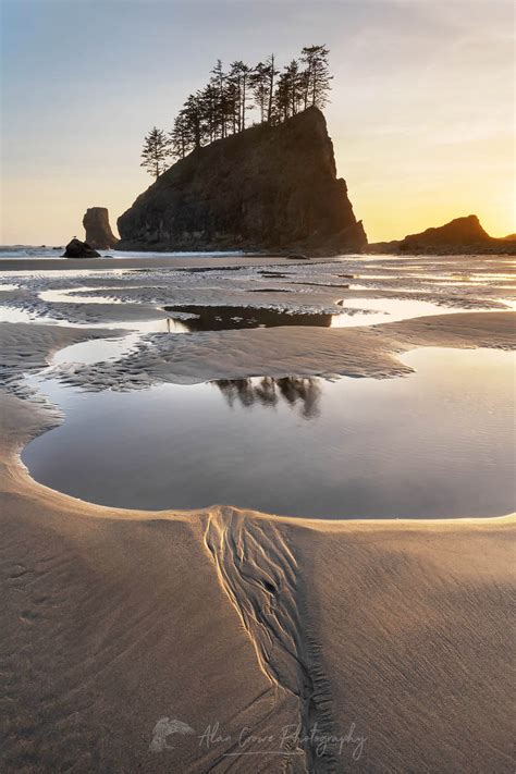 Second Beach Olympic National Park - Alan Crowe Photography