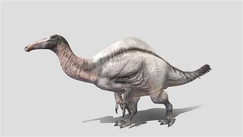 Top Biggest Carnivorous Dinosaurs Ever My Dinosaurs