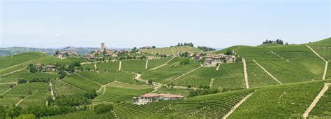 Langhe DOC »Italian Wine Central