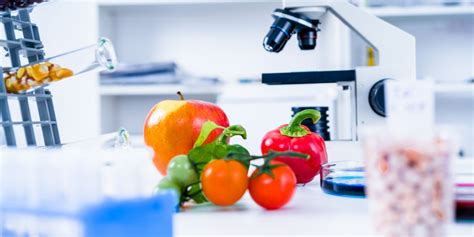 What Can You Do With A Masters Degree In Nutrition Science Edx