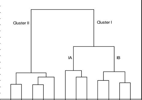 Dendrogram Representing The Similarity Relationships Of Chemical