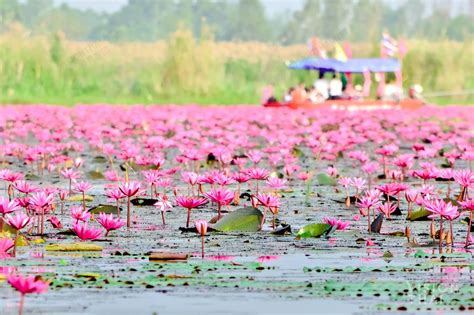 【泰国节日旅游指南】泼水节、水灯节，10大节日体验泰文化！ Vision Thai 看见泰国