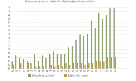 Osos polares en peligro de extinción.