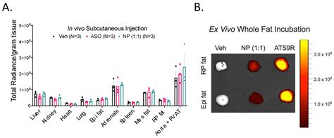 Biomedicines Free Full Text Divergence Of Chemerin Reduction By An