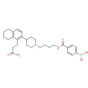 Boronic Acid Amino Oxoethoxy