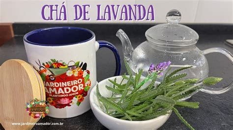 Propriedades medicinais do chá da lavanda rémedio caseiro poderoso