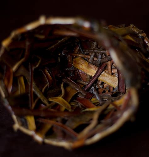 Simple tools & Capable hands on Behance