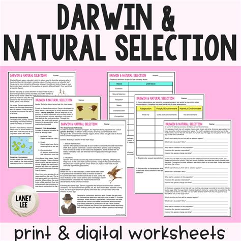 Evolution By Natural Selection Worksheet