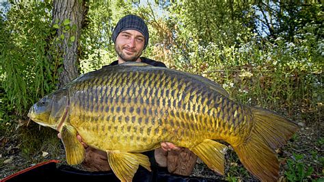 Karpfenangeln So fängst du kapitale Karpfen ultimativer Guide