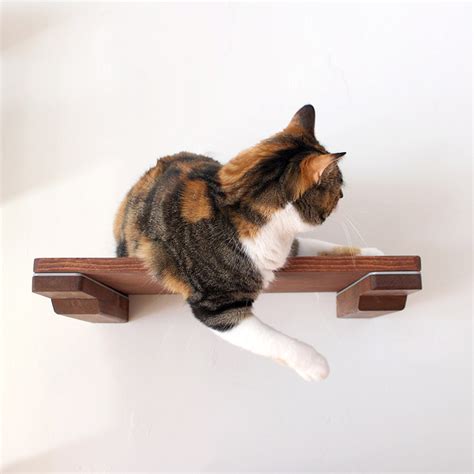 Cat Mod 18 Shelf English Chestnut