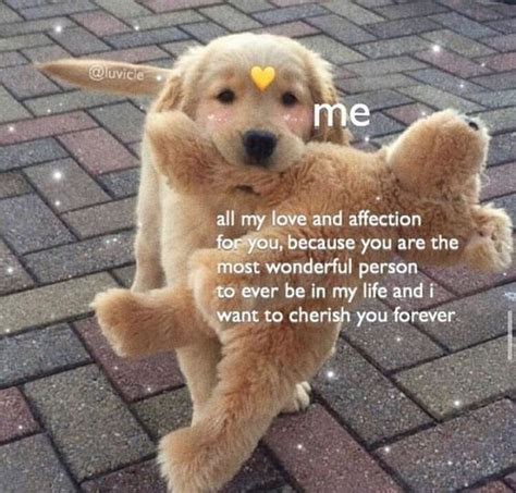 47 Wholesome Love And Affection Memes For That Special Person In 2021 Cute Love Memes Love