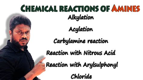 Chemical Reactions Of Amines Amines Cbse Class Chemistry