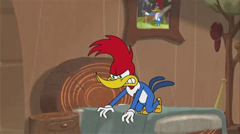 Woody Woodpecker Cant Sleep With Noise Part 1 Happy St Patricks Day