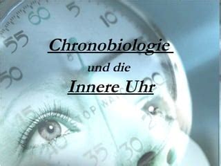 Innere Uhr Ppt