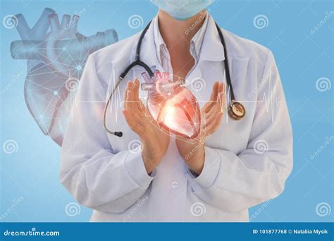 El Cardiólogo Del Médico Muestra Un Corazón Humano Foto de archivo