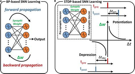 Frontiers Sstdp Supervised Spike Timing Dependent Plasticity For