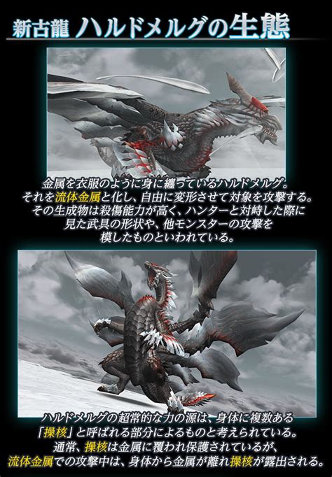 モンスターハンター フロンティアg7プレビューサイト 新モンスター古龍「ハルドメルグ」の生態及び武具性能公開