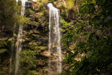 Twin Falls Waterfall Located In Springbrook National Park Stock Photo