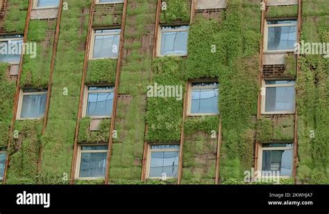 Eco plants Stock Videos & Footage - HD and 4K Video Clips - Alamy