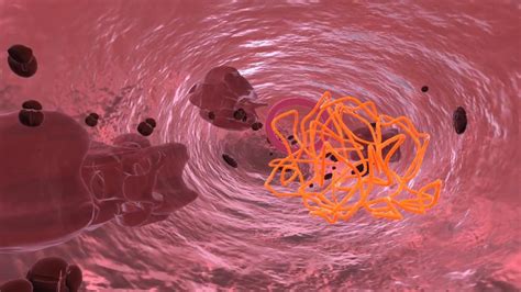 bacterial cell structure xreadylabcom  vr education