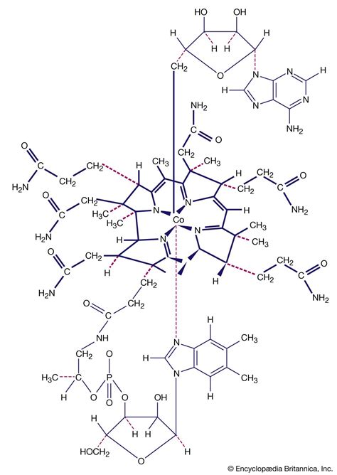 Coordination compound - Isopoly, Heteropoly, Anions | Britannica