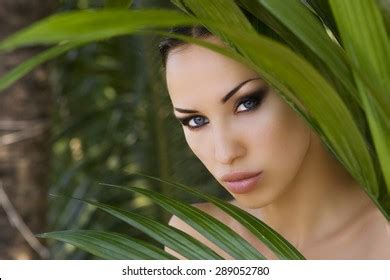 Sexy Beautiful Woman Hiding Behind Palm Stock Photo 289052780