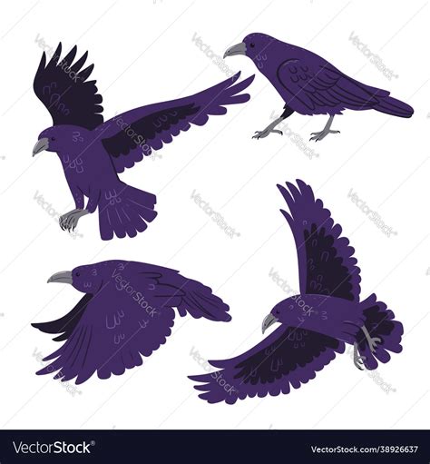 Set crows isolated on white background Royalty Free Vector