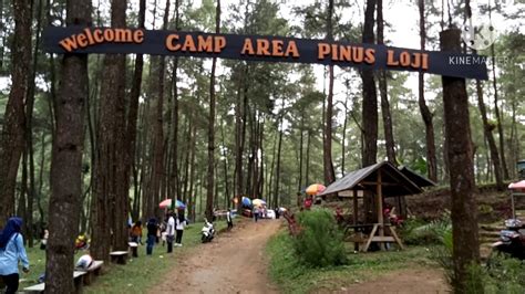 HUTAN PINUS LOJI Wisata Indonesia BLITAR Jatim YouTube